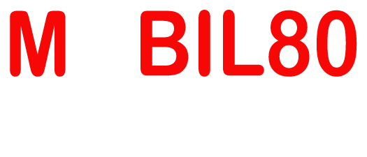 Mobil80 — mobility solutions
